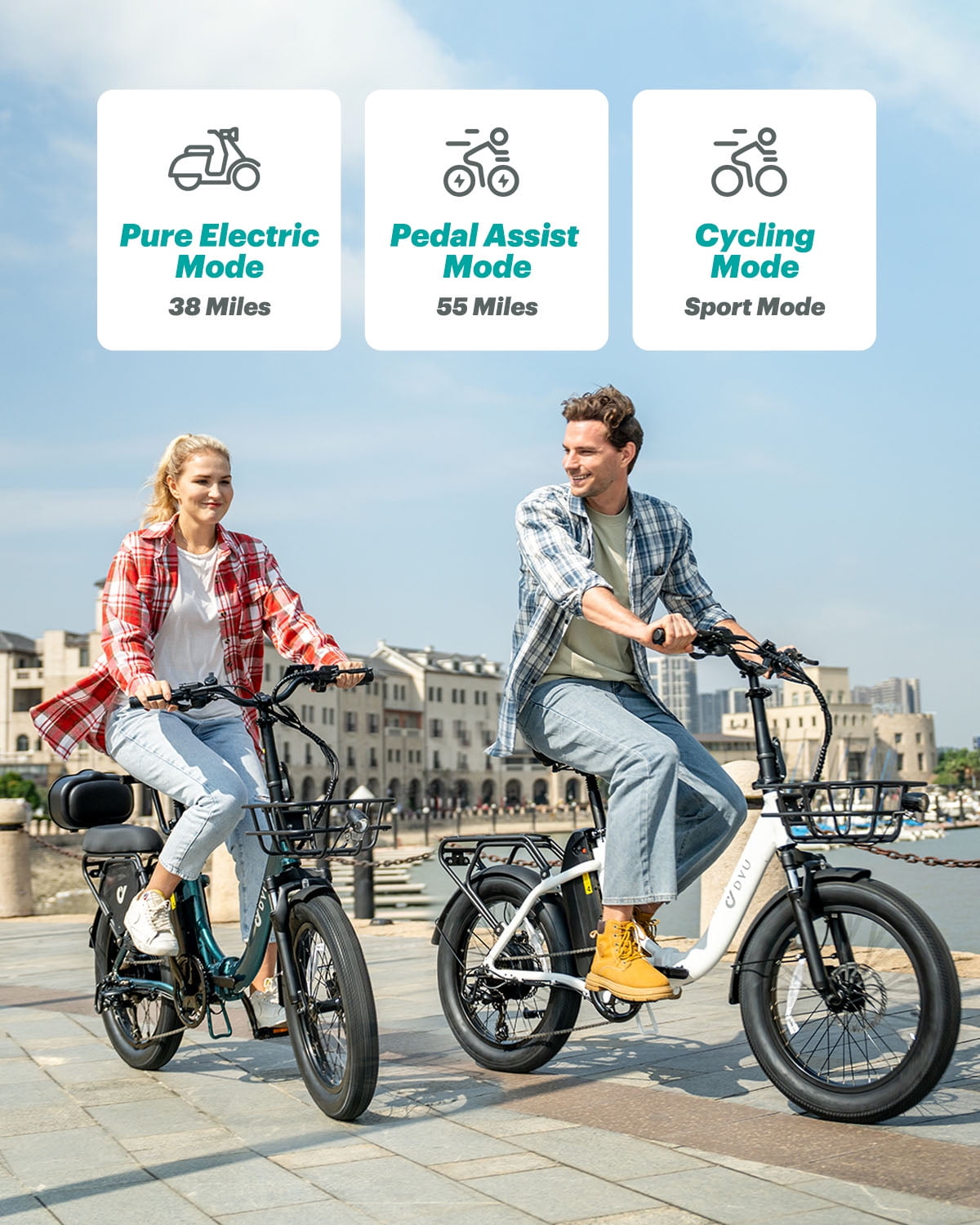 DYU 20" 4.0 Fat Tire Electric Bike 750W 48V 15.6Ah | All-Terrain Adult E-Bike