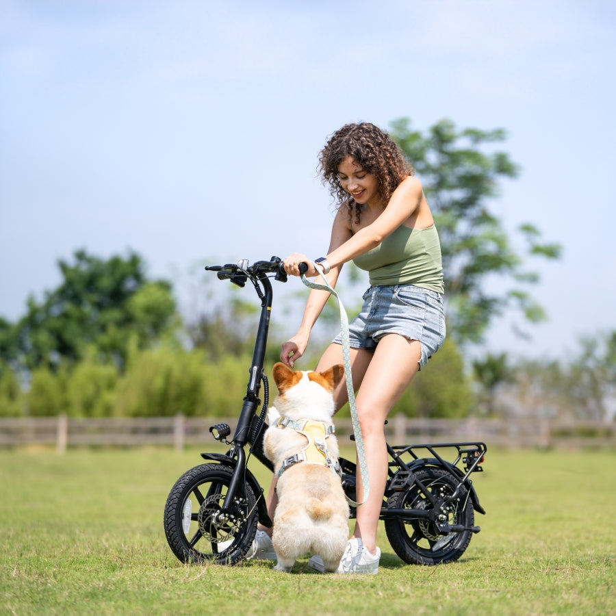 DYU C3 Foldable Electric Bike 350W 36V 7.5Ah | Compact City Commuter E-Bike