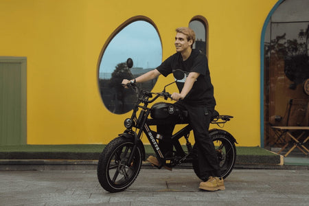   DUOTTS F20 Electric Bike - 1000W All Terrain Fat Tire MTB