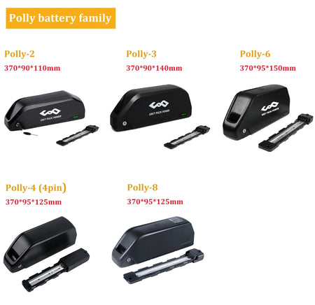 21700 E-Bike Battery Hailong Polly Mounted on Electric Bicycle