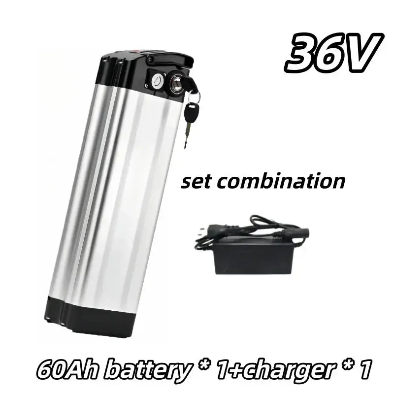 Universal 36V Silver Fish Lithium-ion Battery (15Ah-60Ah) for Folding Bikes with Built-in BMS with 60Ah battery and charger.