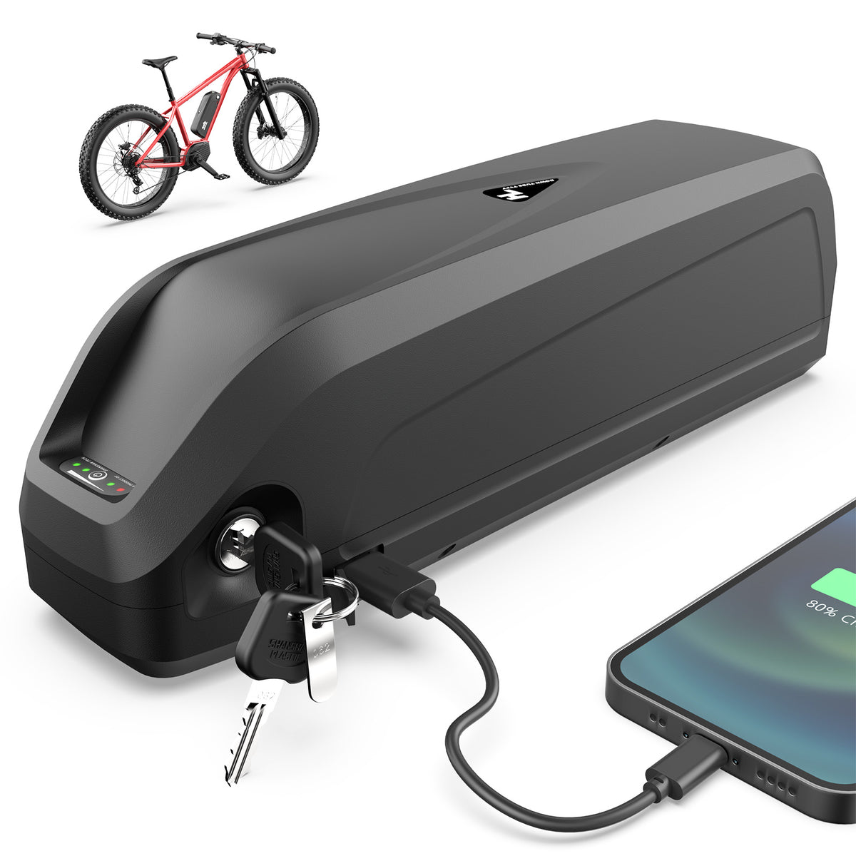 48V 20Ah Rechargeable Lithium Battery Pack