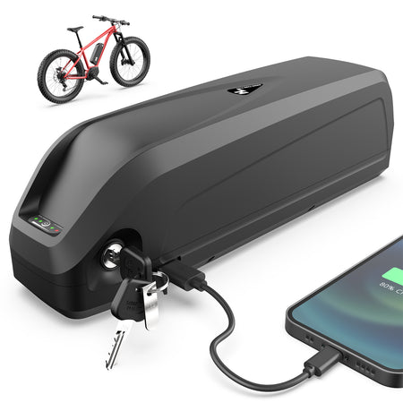 48V 20Ah Rechargeable Lithium Battery Pack