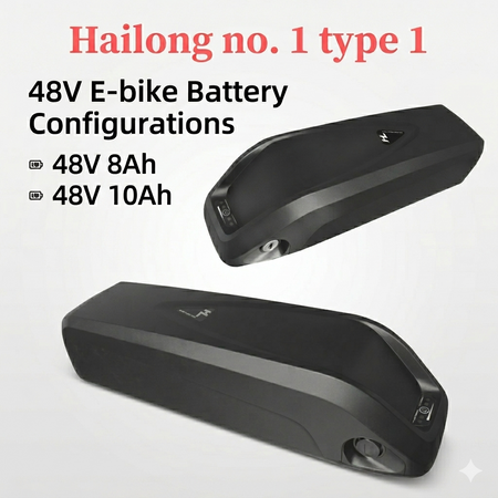 48V Hailong Battery Pack