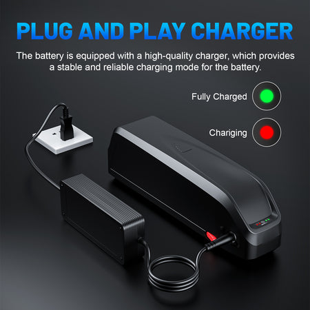 48V battery for ebike up to 1000W motor