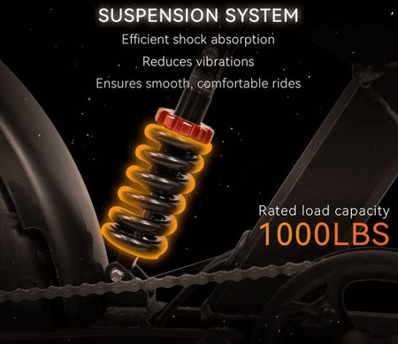   DUOTTS F20 Electric Bike - 1000W All Terrain Fat Tire MTB