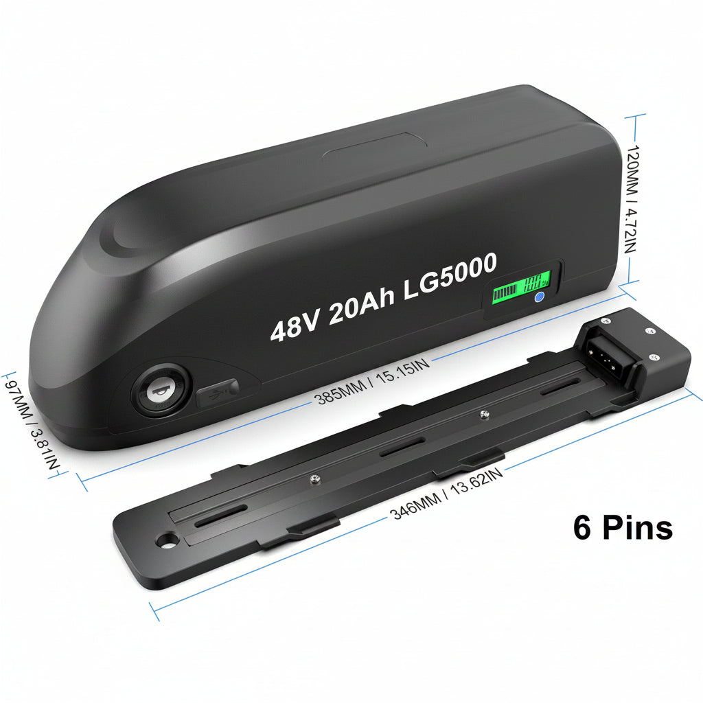 50A BMS Protected Hailong Battery