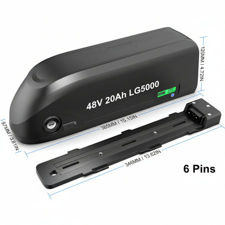 50A BMS Protected Hailong Battery