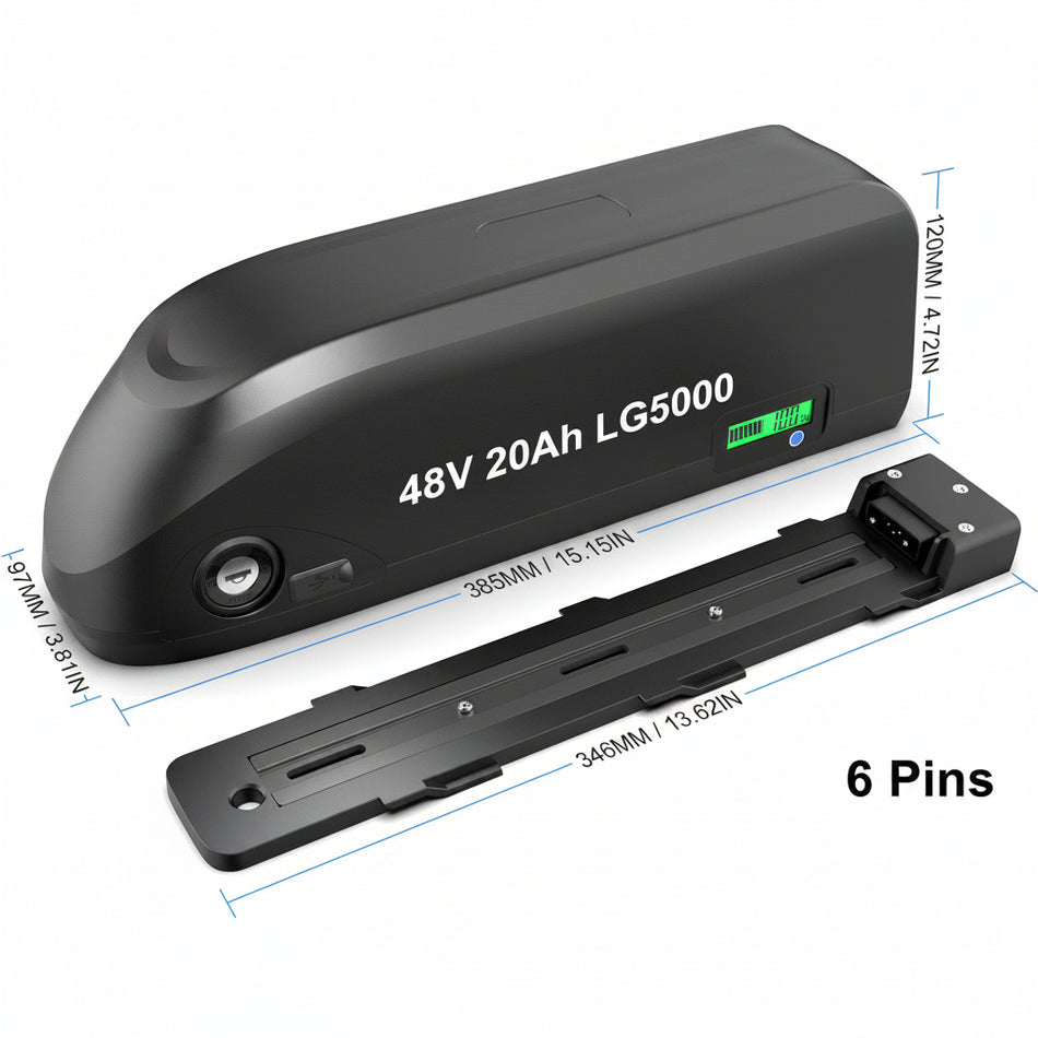 50A BMS Protected Hailong Battery