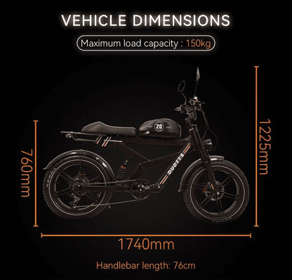   DUOTTS F20 Electric Bike - 1000W All Terrain Fat Tire MTB