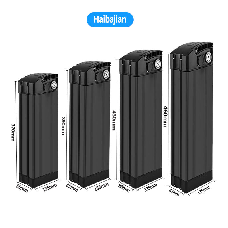 48V Portable Lithium Battery | High Capacity Power Pack for E-Bikes & Scooters