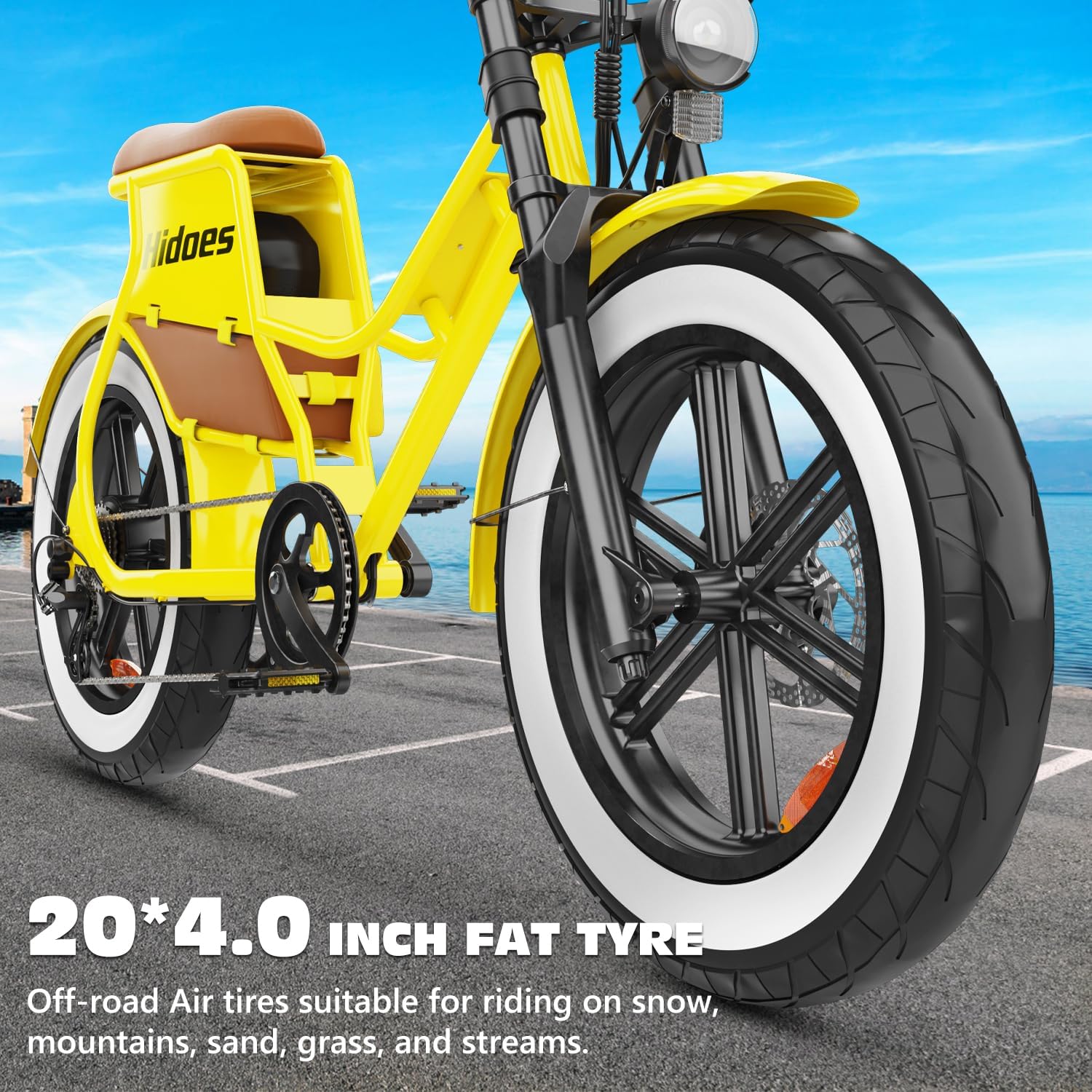   Hidoes C8 Retro Electric Bike 700W (1000W Peak) | 48V 17Ah, 20" Fat Tire, Dual Brakes, UL2849 Certified