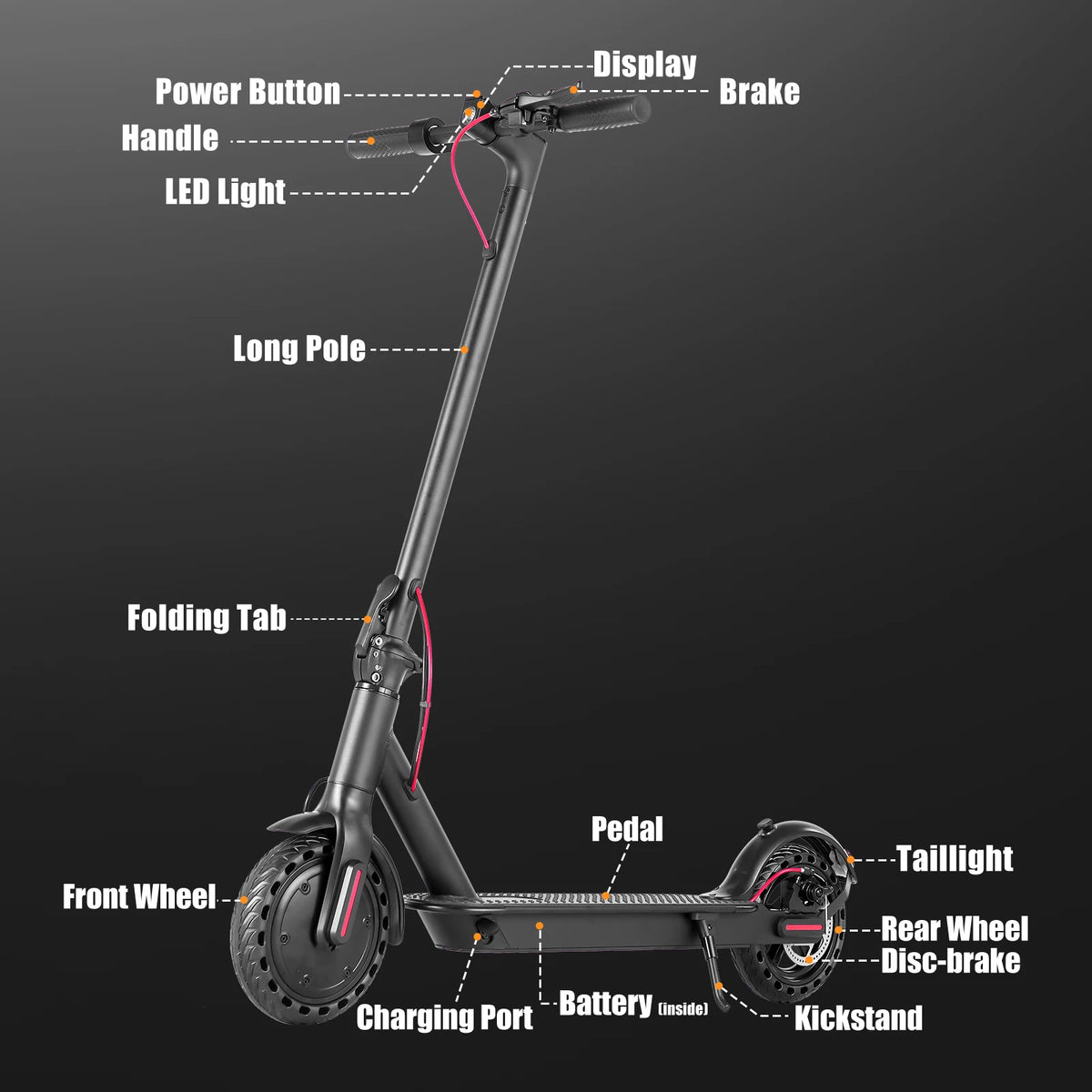 AiliFE Electric Scooter with 350W Powerful Brushless Motor