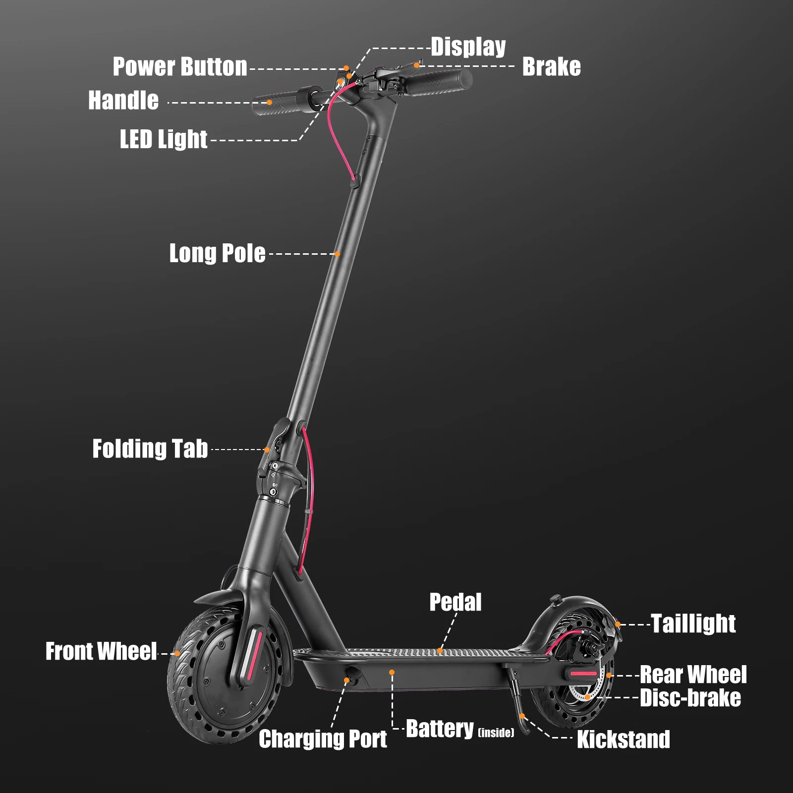 AiliFE Electric Scooter with 350W Powerful Brushless Motor