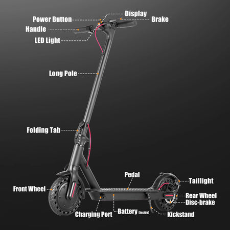 AiliFE Electric Scooter with 350W Powerful Brushless Motor