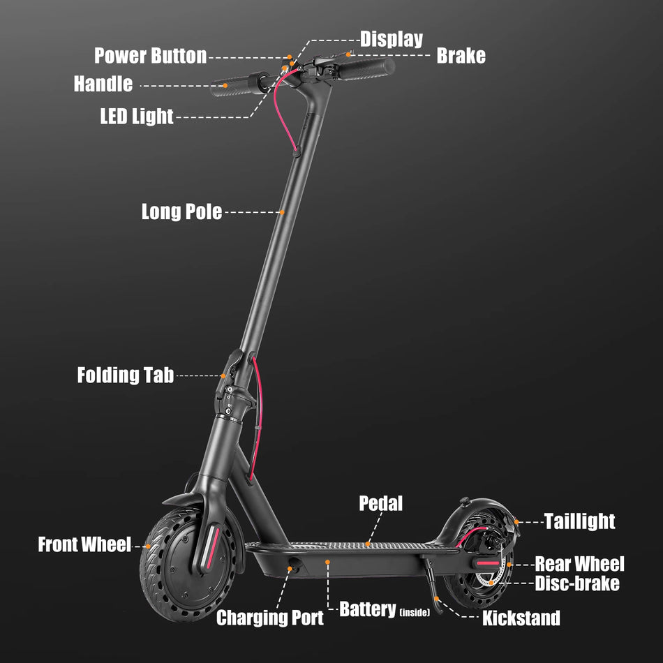 AiliFE Electric Scooter with 350W Powerful Brushless Motor