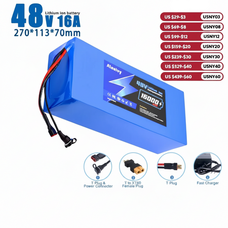 Aleaivy 48V 16Ah electric bike lithium battery pack with charger