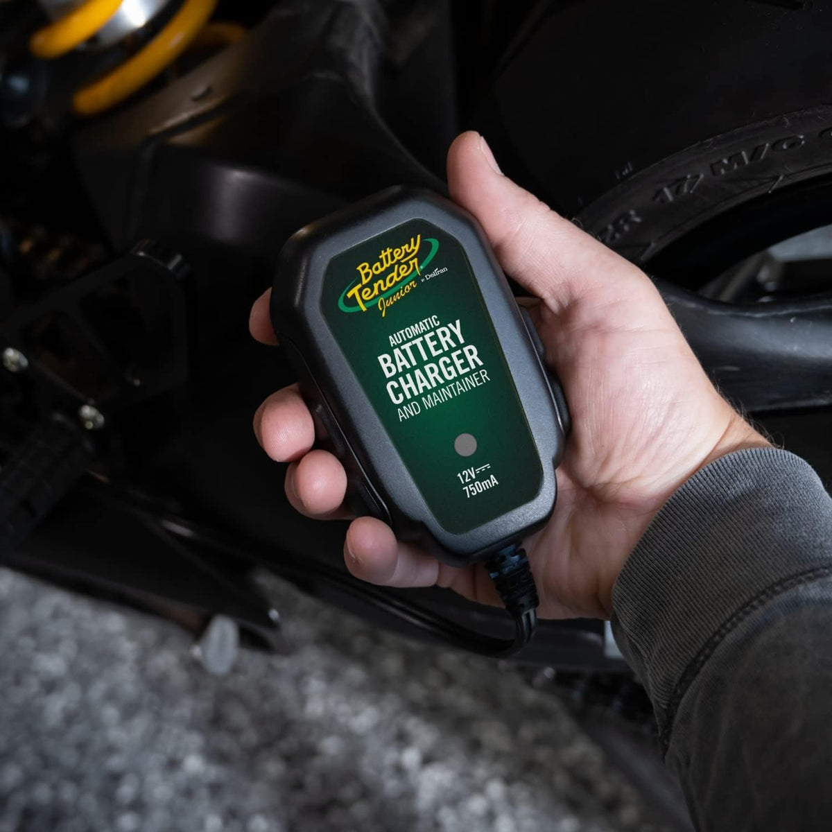 Automatic float mode battery charger for long term storage