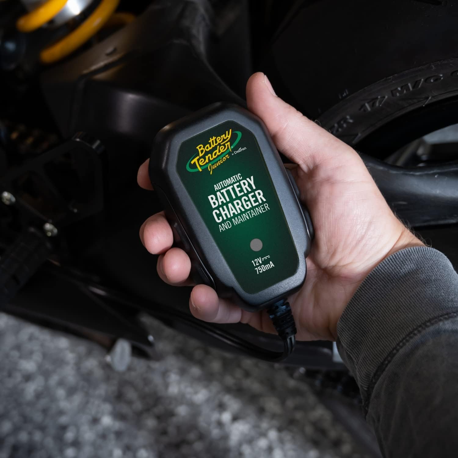 Automatic float mode battery charger for long term storage