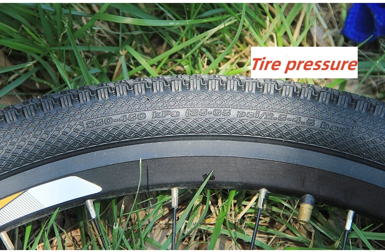   MAXXIS PACE (M333) Mountain Bike Tire