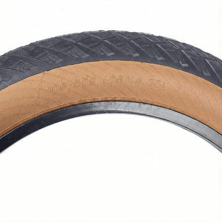 CST CTC-06 fat tire for beach bike