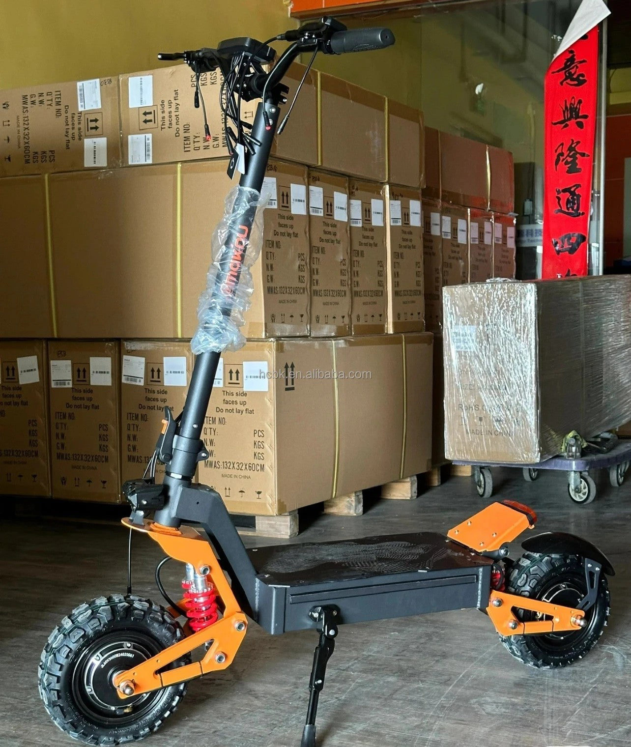 Dual Motor X5 Pro Adventure Scooter