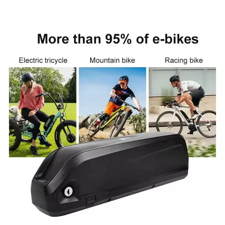 Durable Hailong down-tube casing packed with 18650 lithium-ion cells