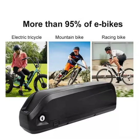 Durable Hailong down-tube casing packed with 18650 lithium-ion cells