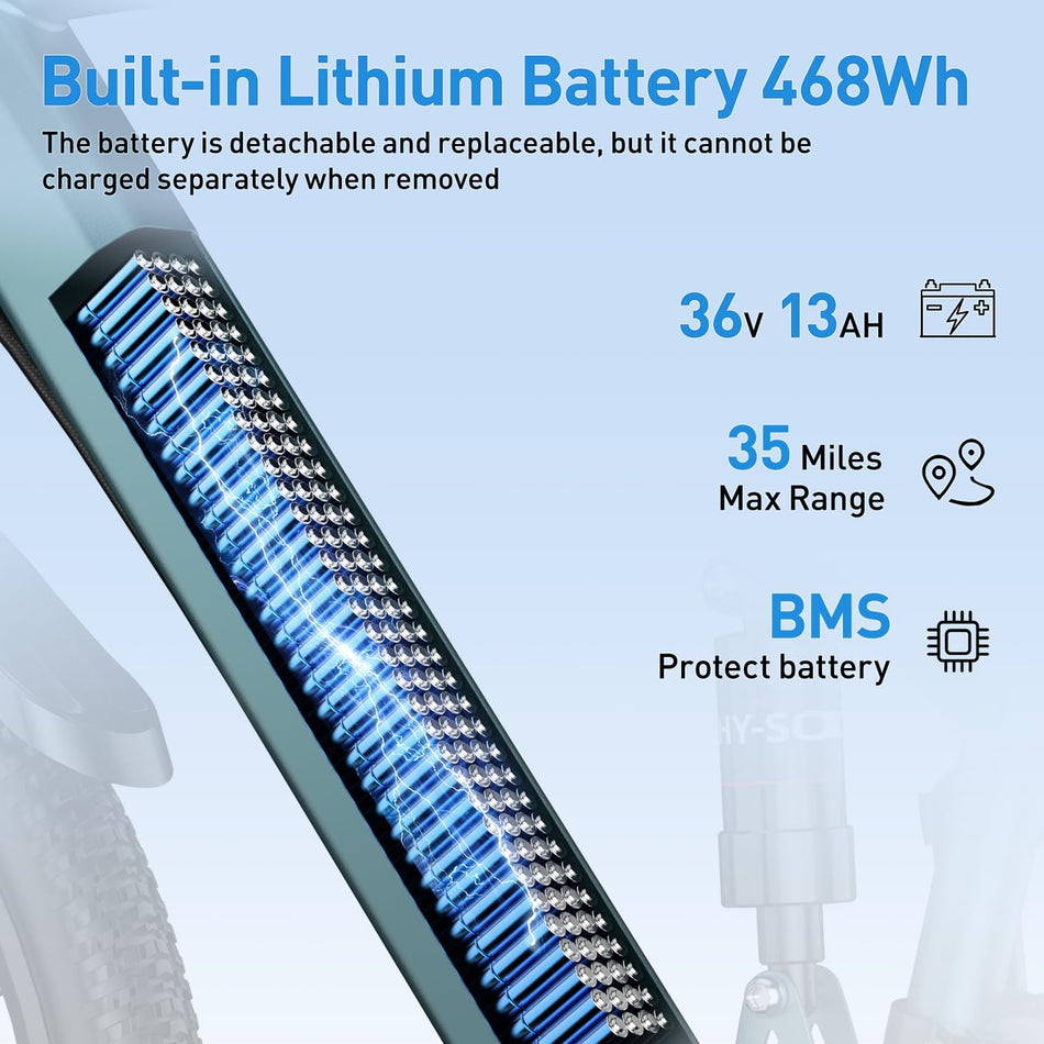   GT900 Electric Bike Black, 24/26 Inch, 750W Peak Motor, 28MPH, Full Suspension, Removable 13Ah/20Ah Battery