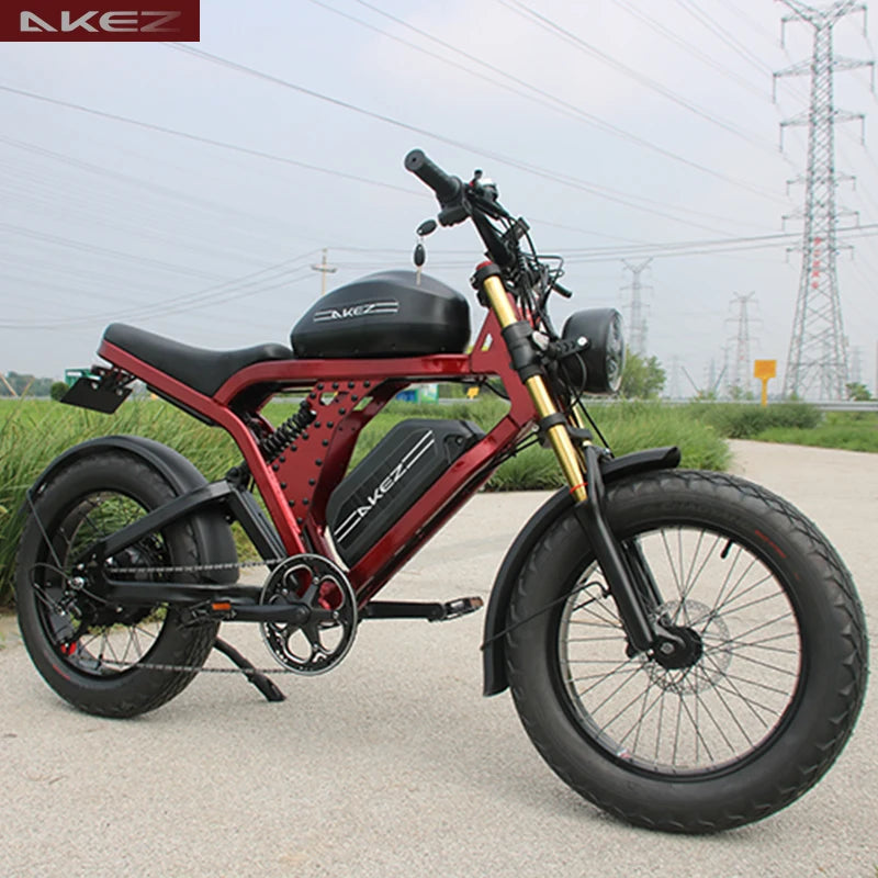   AKEZ King Kong 52V 750W Electric Bike – 20” Aluminum Alloy Frame, Long Range E-Bike for Adults