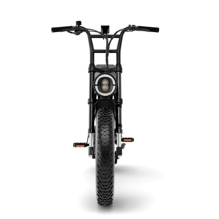   High-Speed 750W Electric Fat Tire Bike – 28 MPH, 60 Mile Range, 48V 15Ah Battery | Shimano 7-Speed & Hydraulic Brakes