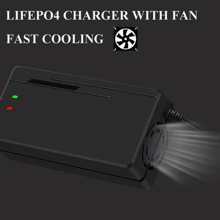 Golf cart 48V lithium battery fast charger 10A