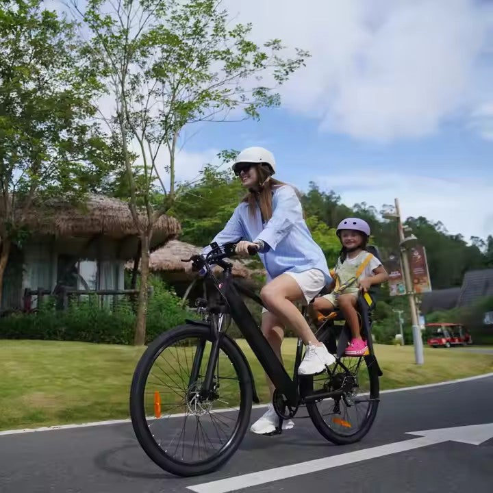   DYU C5 Electric Bike 250W 48V 10Ah | 27.5" Long-Range City Commuter