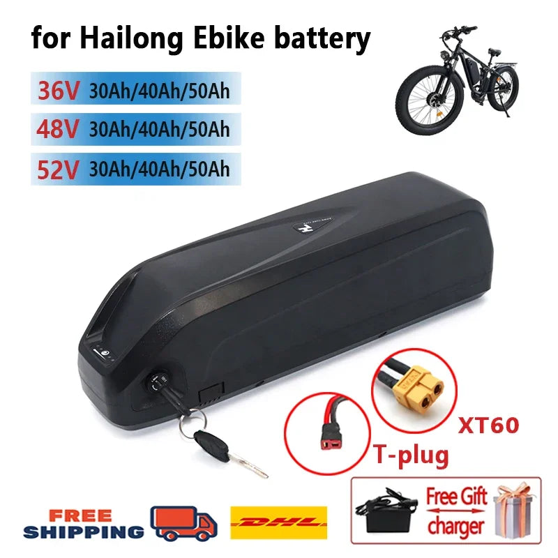Hailong 36V E-Bike Battery