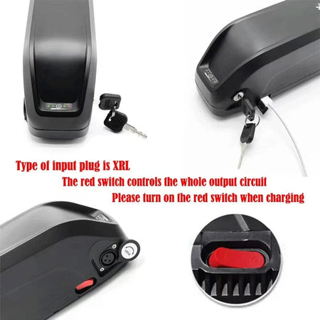 Hailong 48V E-Bike Battery