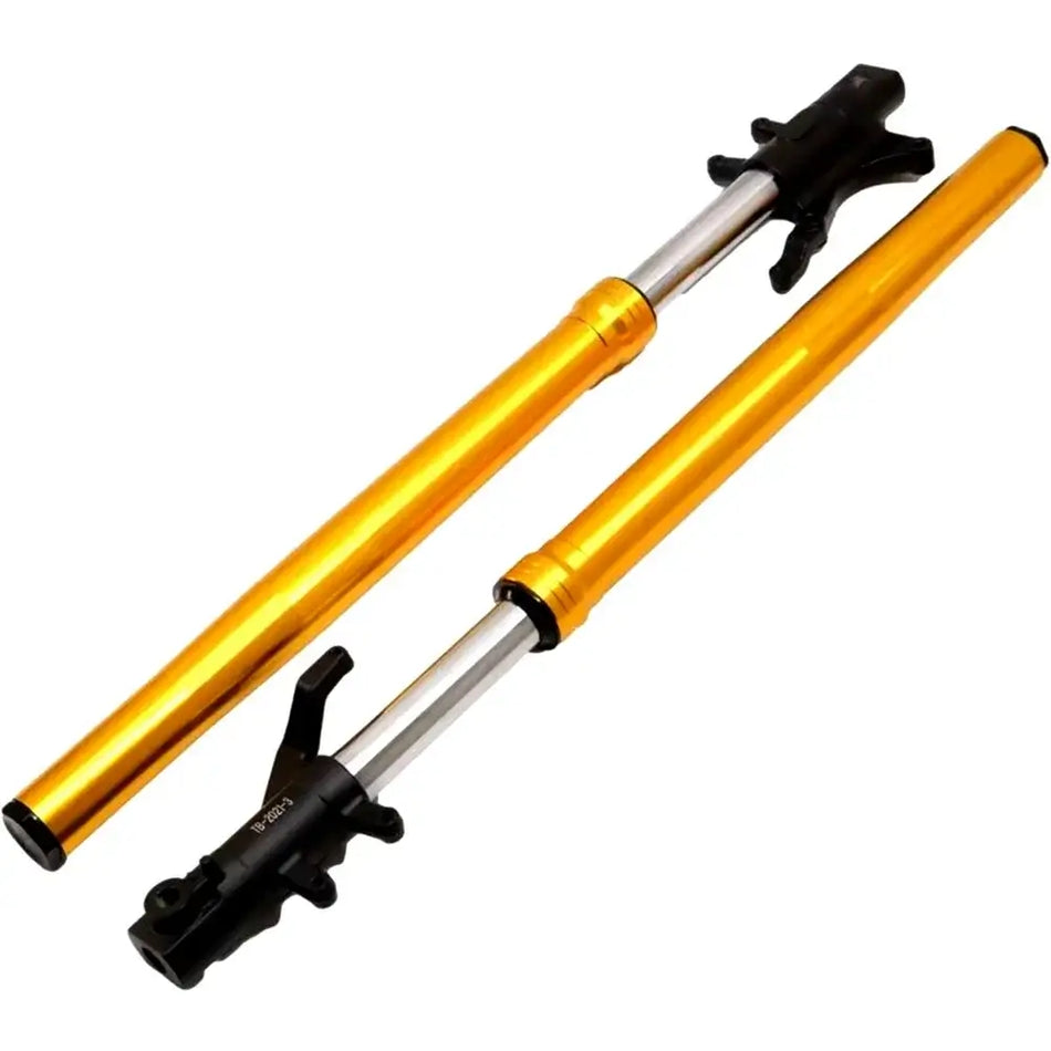 Honda-Grom-MSX125-SF-Modified-Inverted-Front-Shockers