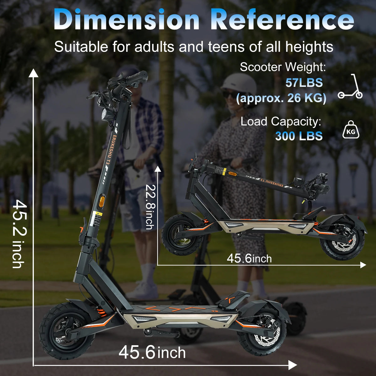 Premium Electric Scooter with 48V Battery