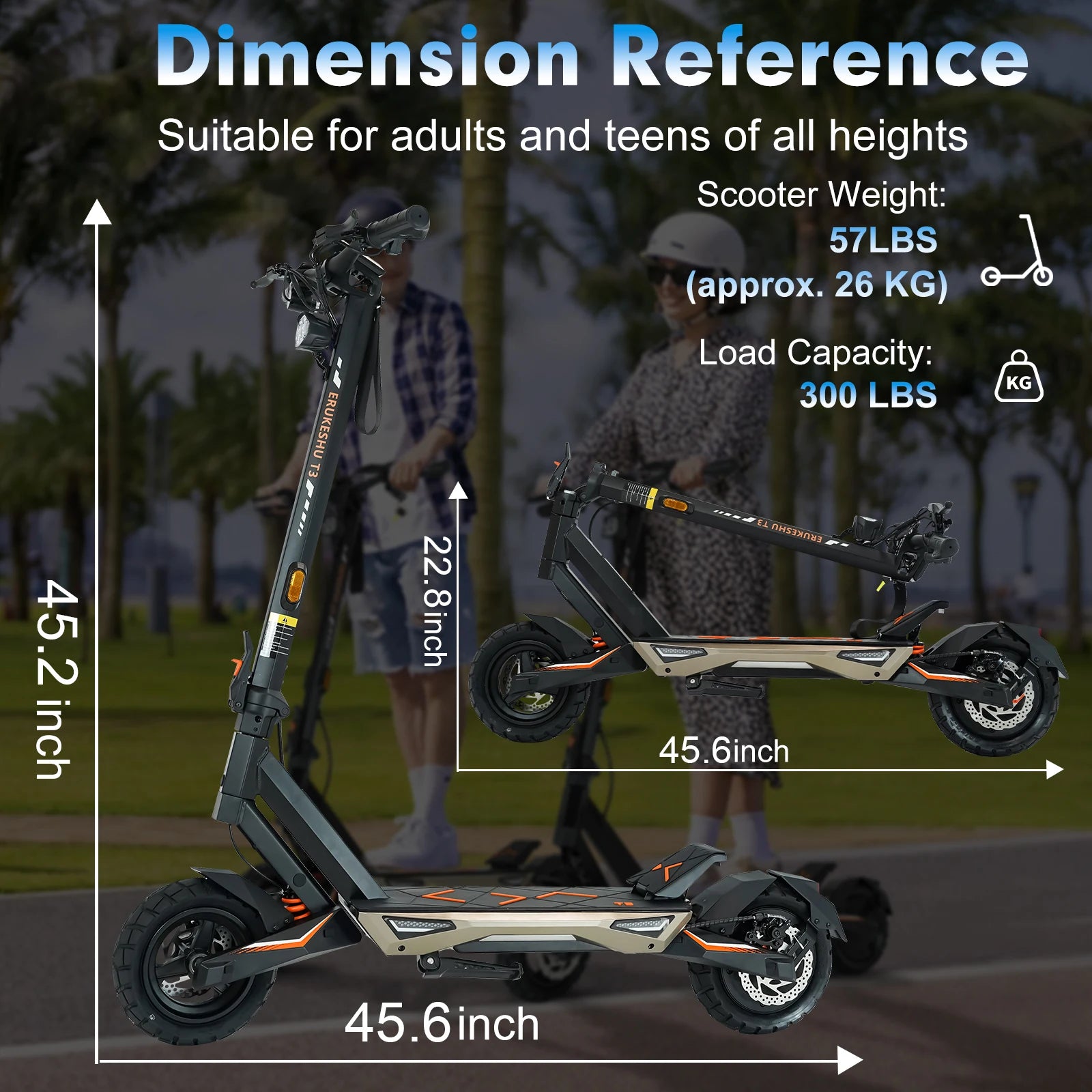 Premium Electric Scooter with 48V Battery