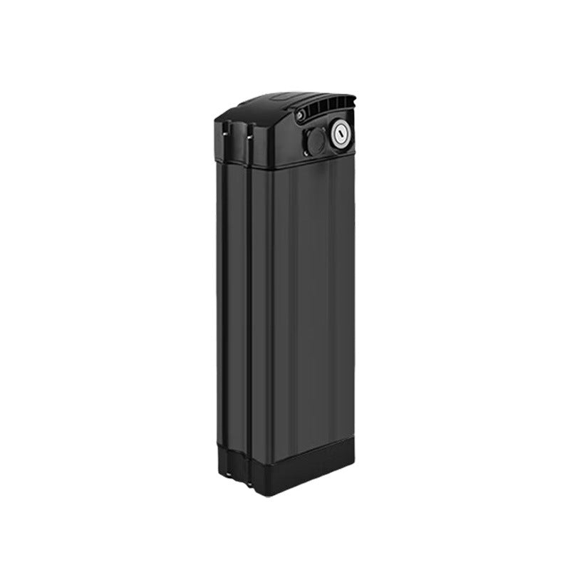 Rechargeable 48V Battery Pack
