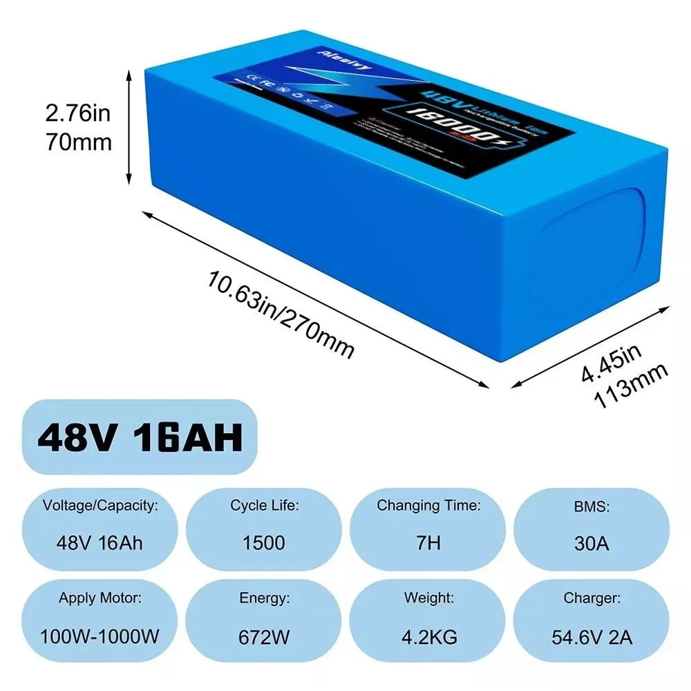 Rechargeable lithium ion battery with charger