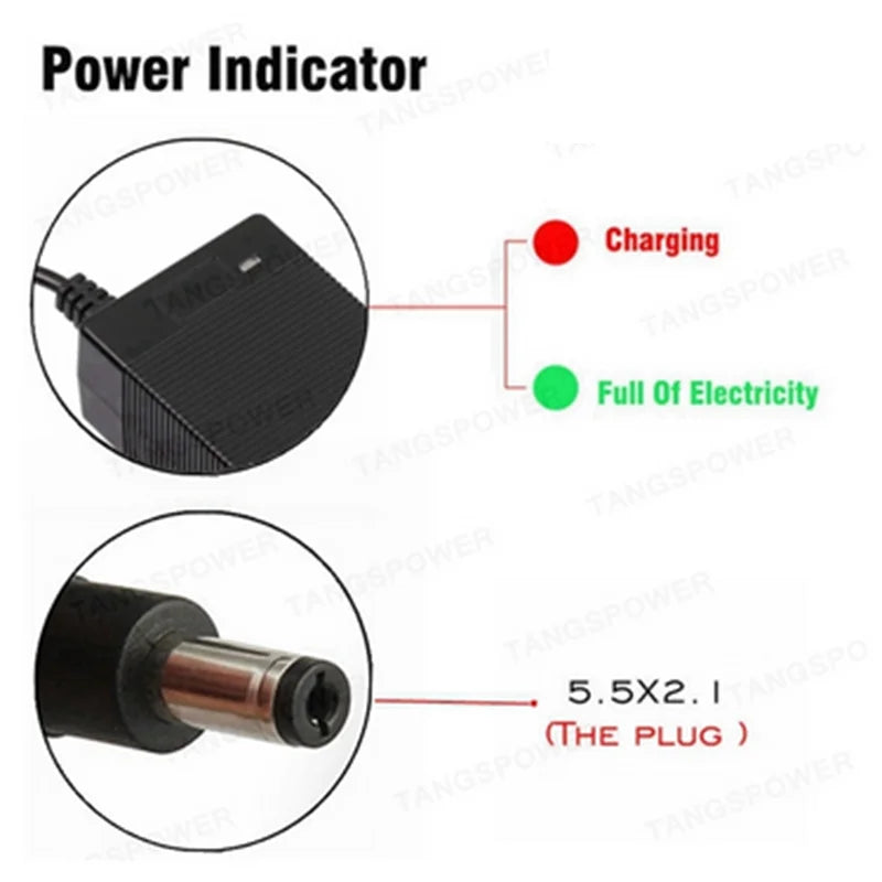TANGSPOWER 54.6V 4A Smart Charger For Kugoo C1/G2/M4 13S Li-ion Battery Pack-Fast Charge with Cooling Fan, CE/FCC/UL Certified