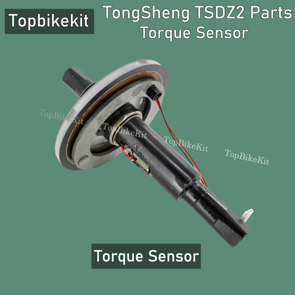Torque Sensor
