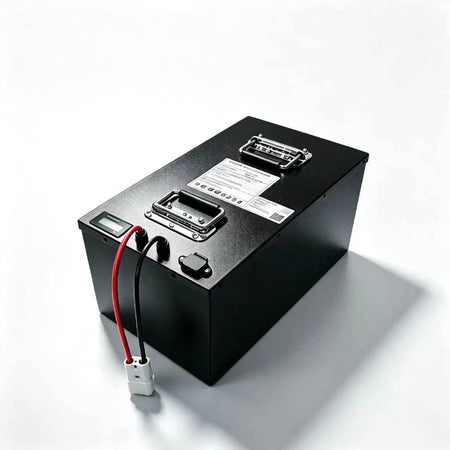 Lithium Iron Phosphate Battery for Electric Vehicles