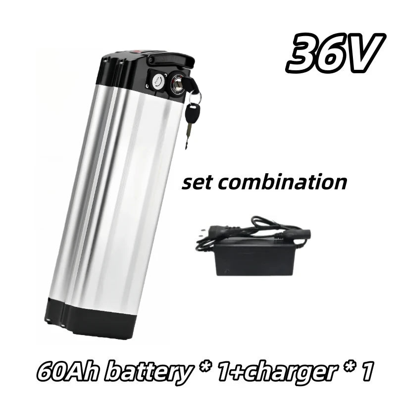 36V- 60Ah-charger-1