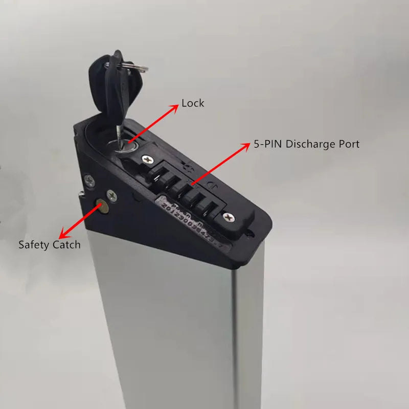 DCH-015 48V Battery Replacement for Wallke X3 and X2 Pro Ebike