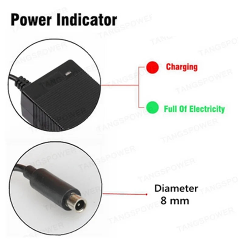 TANGSPOWER 54.6V 4A Smart Charger For Kugoo C1/G2/M4 13S Li-ion Battery Pack-Fast Charge with Cooling Fan, CE/FCC/UL Certified