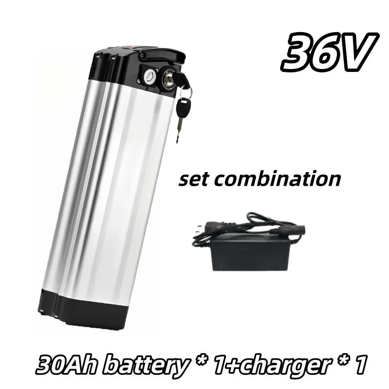 36V- 30Ah-charger-1