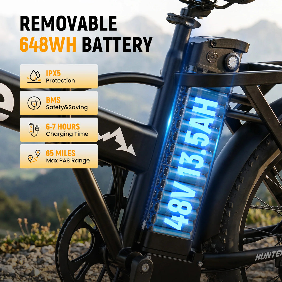 Qlife Hunter 20x3 fat tire electric bicycle display and handlebar
