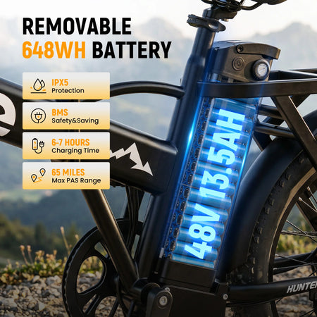 Qlife Hunter 20x3 fat tire electric bicycle display and handlebar