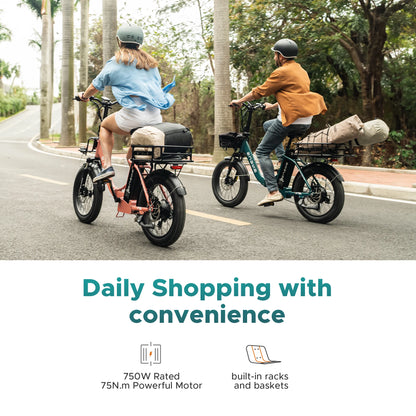 ENGWE L20 2.0 Foldable Fat Tire Electric Bike 750W Motor 52V 13Ah Battery